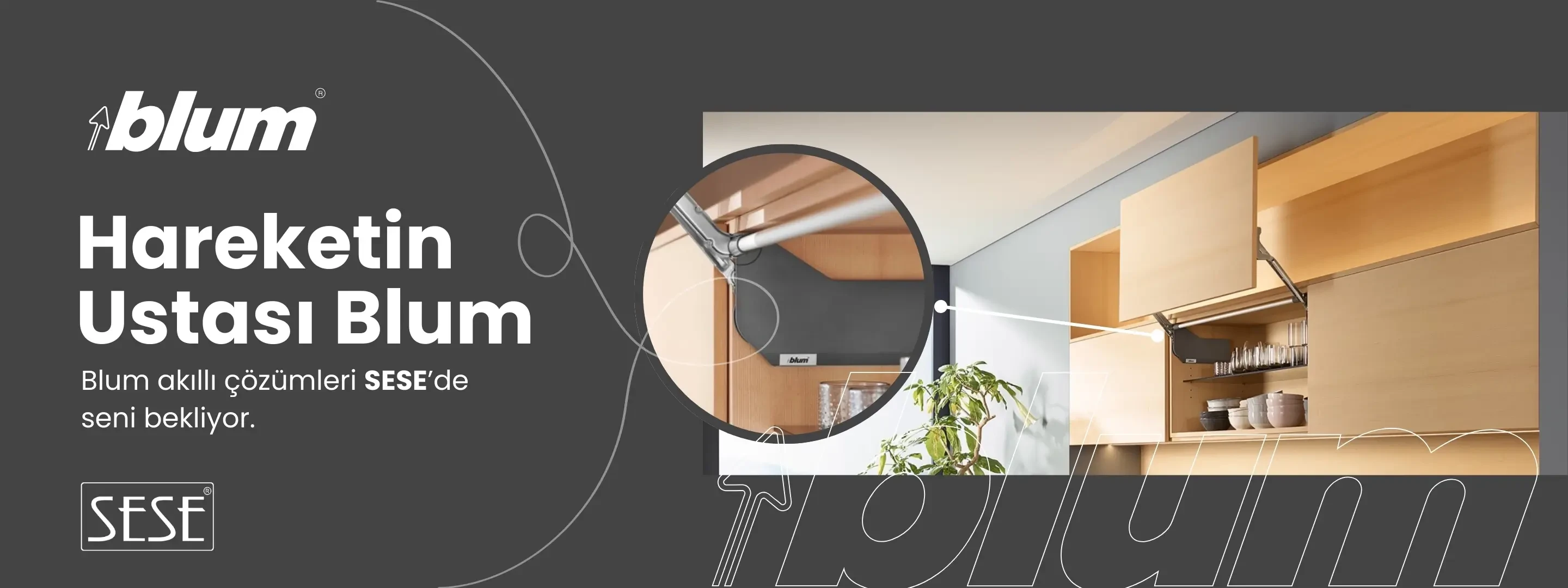 BLUM (1)