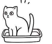 Kedi Tuvaleti