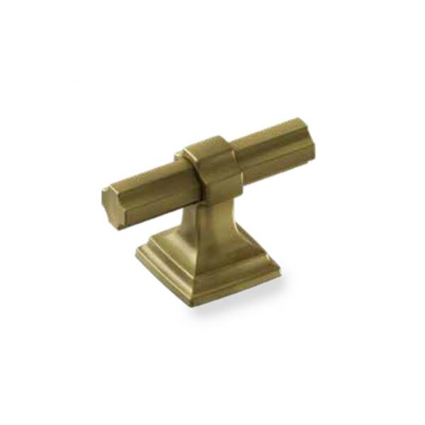 Çebi Mobilya Kulbu Fırçalanmış Antik Pirinç Renk 16mm (A4279016 MP30) - 1