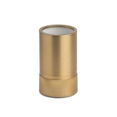 System Tezgah Üstü Diş Fırçalık Gold Branch Renk (BA2006 007 GB) - System Banyo