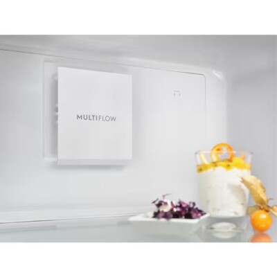 Electrolux Tek Kapılı Soğutucu 380 Lt Seri Sonu (LRC5ME38X2) - 6