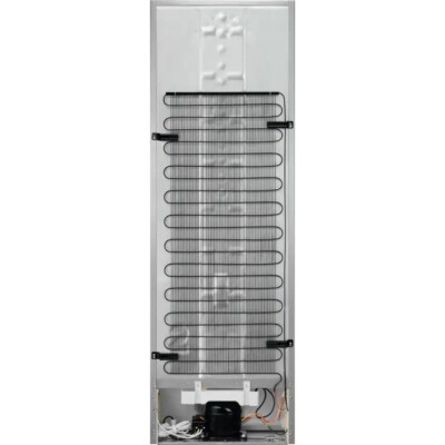 Electrolux Tek Kapılı Soğutucu 380 Lt Seri Sonu (LRC5ME38X2) - 4