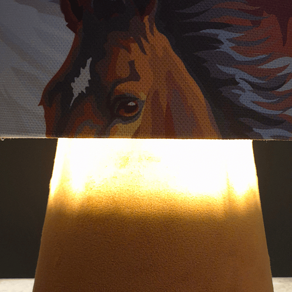 Equora At Desenli Abajur - 6