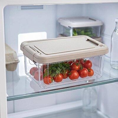 Kilitli Saklama Kabı Şeffaf Organizer 2,5 Litre (AMZ21) - Genel