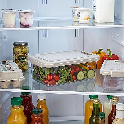 Kilitli Saklama Kabı Şeffaf Organizer 3 Litre (AMZ19) - 3