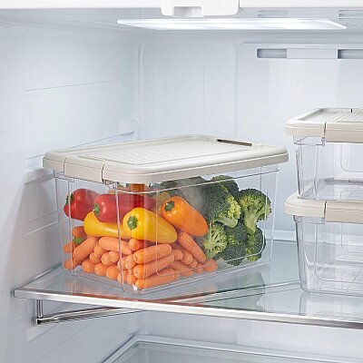 Kilitli Saklama Kabı Şeffaf Organizer 9 Litre (AMZ20) - 4