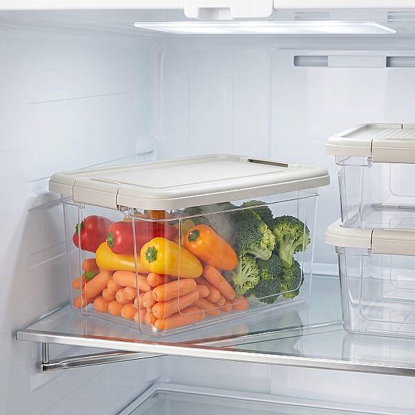 Kilitli Saklama Kabı Şeffaf Organizer 9 Litre (AMZ20) - 4