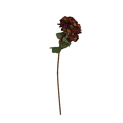 Ortance Brown Yapay Çiçek 20*83*15 cm (AK.JZ0012) - Vitale