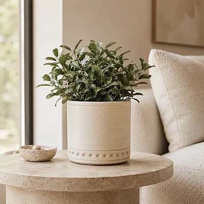Seramik Saksı Açık Kahve 16*14 cm (AK.JH0066) - 4