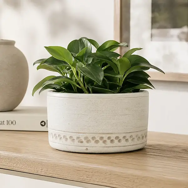 Seramik Saksı Açık Kahverengi 23*11 cm (AK.JH0074) - 1