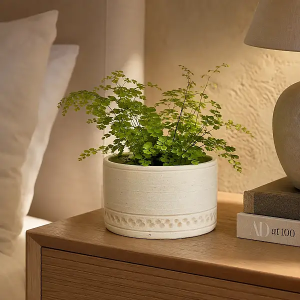 Seramik Saksı Açık Kahverengi 23*11 cm (AK.JH0074) - 4