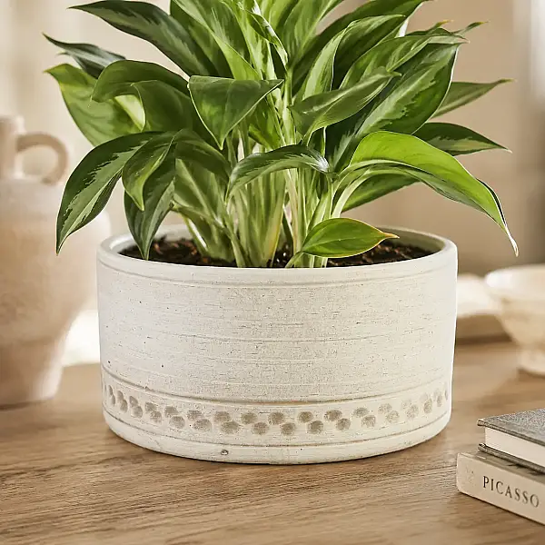 Seramik Saksı Açık Kahverengi 23*11 cm (AK.JH0074) - 5