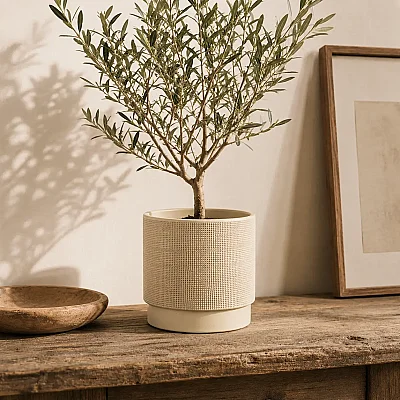Seramik Saksı Light Bej 17*15 cm (AK.JH0031) - 1