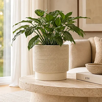 Seramik Saksı Light Bej 24*22 cm (AK.JH0035) - 3