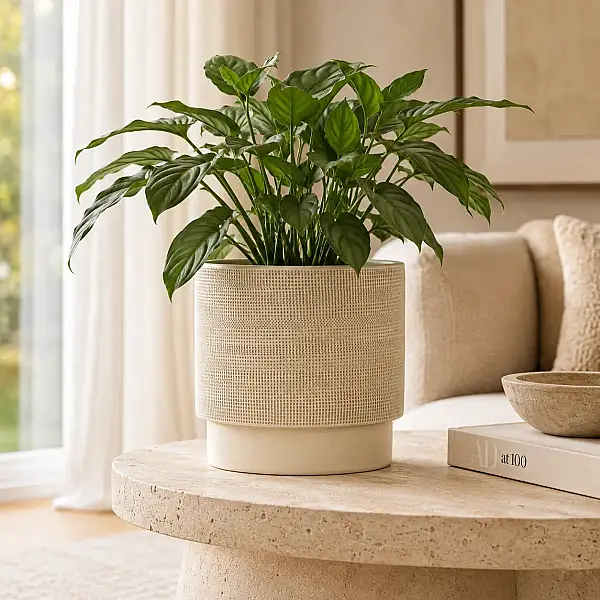 Seramik Saksı Light Bej 24*22 cm (AK.JH0035) - 3