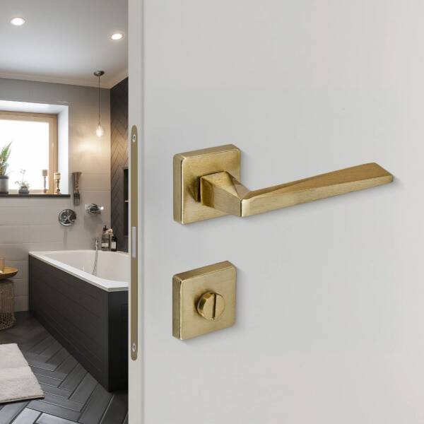 Sese Ayla Modeli Rozetli Wc Kapı Kolu Titanyum (200-242R-02-05) - 2