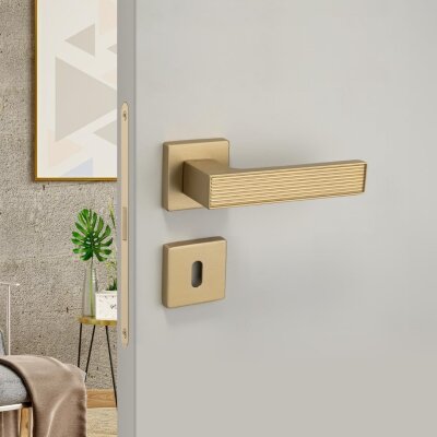 System Dia Gold Branche Renk Rozetli Kapı Kolu (HA257RO11 GB) - System