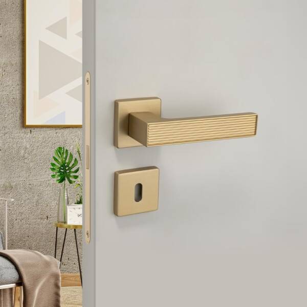 System Dia Gold Branche Renk Rozetli Kapı Kolu (HA257RO11 GB) - 1