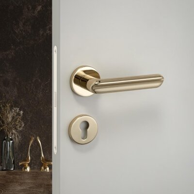 System Jaden Gold Renk Rozetli Kapı Kolu (HA281RO12 GL) - System