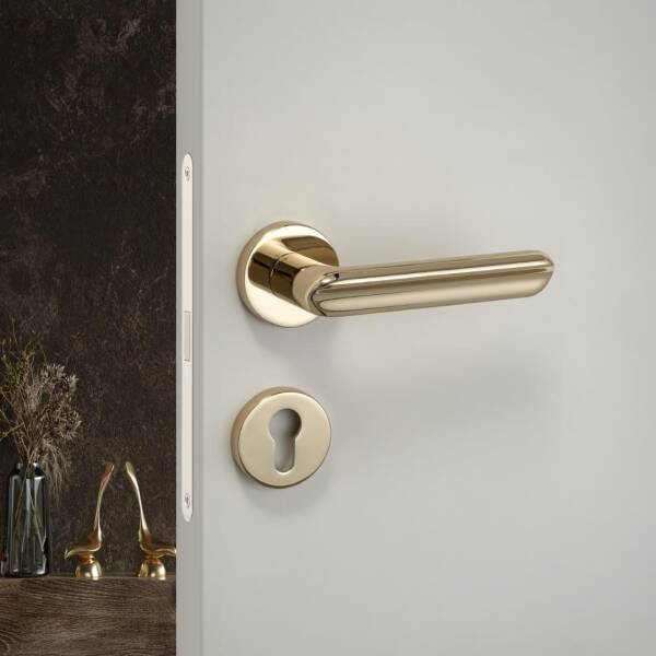 System Jaden Gold Renk Rozetli Kapı Kolu (HA281RO12 GL) - 1