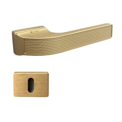 System Jedi Fırçalı Mat Altın Rozetli Kapı Kolu (HA261RO15 ELX5) - System