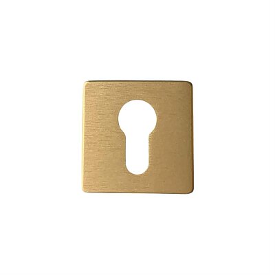 System Kare Yale Kapı Rozeti Fırçalı Mat Altın Renk (RO11Y ELX5) - System
