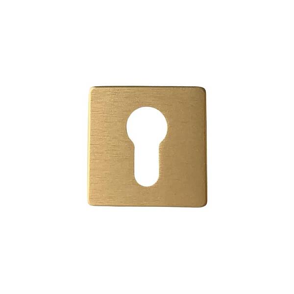 System Kare Yale Kapı Rozeti Fırçalı Mat Altın Renk (RO11Y ELX5) - 1