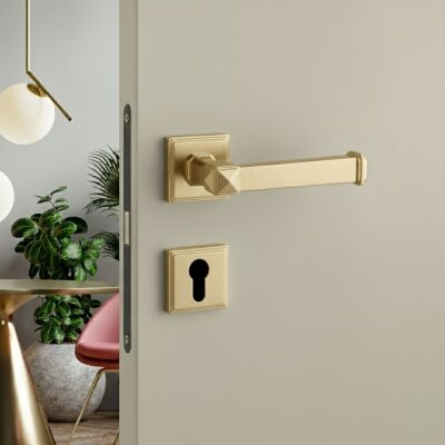 System Kayla Rozetli Kapı Kolu Gold Brance Renk (HA224RO17 GB) - System