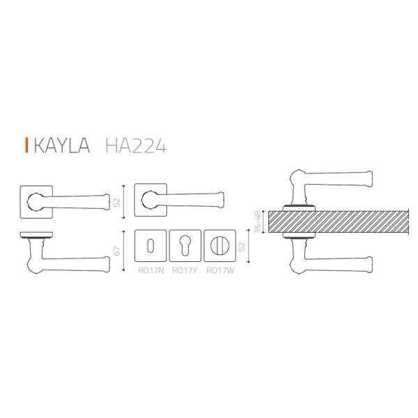 System Kayla Rozetli Kapı Kolu Gold Brance Renk (HA224RO17 GB) - 4