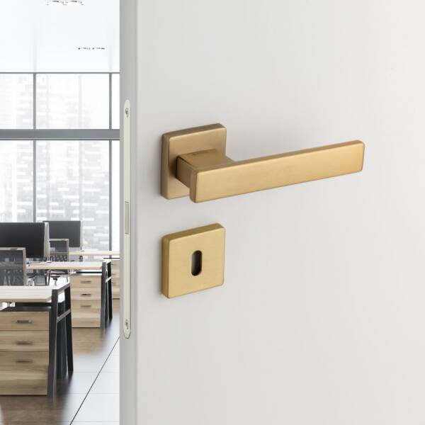 System Norma Kapı Kolu Gold Branch Renk (HA222RO11 GB) - 1