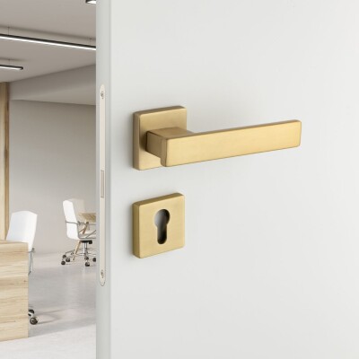System Norma Kapı Kolu Gold Branch Renk (HA222RO11 GB) - 3
