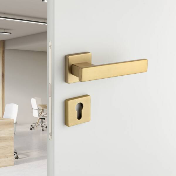 System Norma Kapı Kolu Gold Branch Renk (HA222RO11 GB) - 3