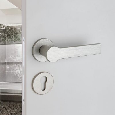 System Pantos Fırçalı Nikel Saten Rozetli Kapı Kolu (HA265RO22 ELX2) - System