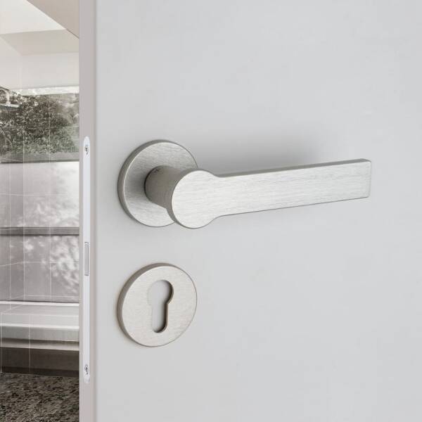 System Pantos Fırçalı Nikel Saten Rozetli Kapı Kolu (HA265RO22 ELX2) - 1