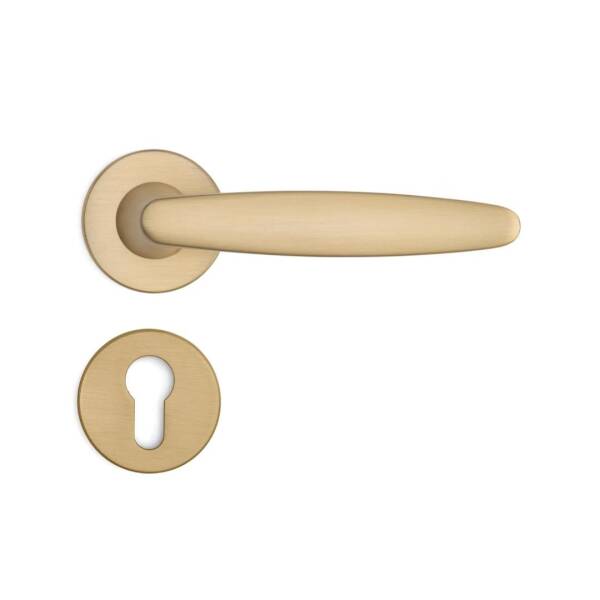 System Polna Gold Branche Renk Rozetli Kapı Kolu (HA245RO12 GB) - 3