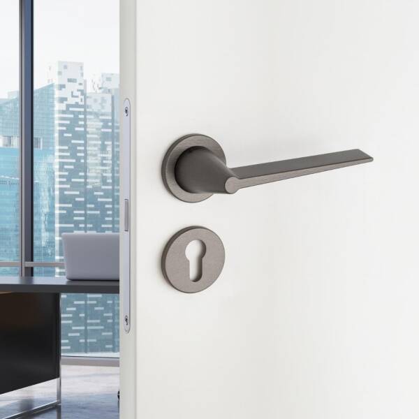 System Robin Fırçalı Füme Rozetli Kapı Kolu (HA264RO22 ELX1) - 1