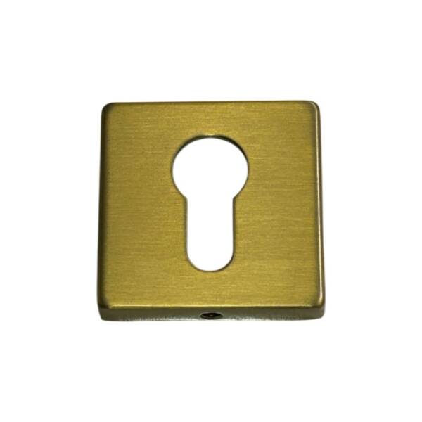 System Kare Yale Dış Kapı Kolu Rozeti Gold Branch Renk (RO11Y GB) - 1