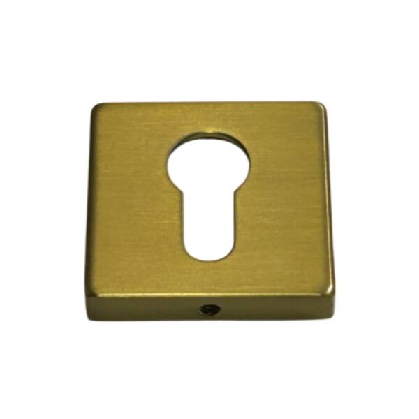 System Kare Yale Dış Kapı Kolu Rozeti Gold Branch Renk (RO11Y GB) - 2