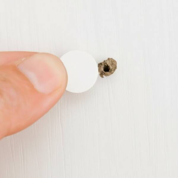 Yapışkanlı Vida Tapası TAP08 - 1