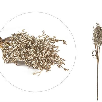 Villa Collection Pampus Yapay Çiçek 83 cm (VL 12508) - Villa Collection