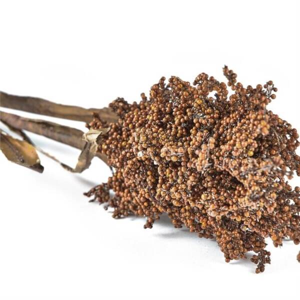 Villa Collection Pampas Yapay Çiçek Koyu 86 cm (VL 12512) - 2