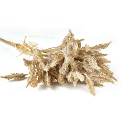 Villa Collection Yapay Çiçek 80 cm (VL 12507) - 3