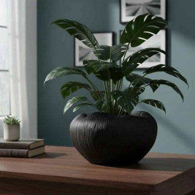 Vitale Antrasit Meyvelik 25*28*16 Cm (AK.JM00004) - Vitale