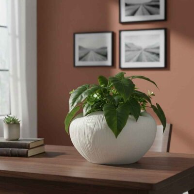 Vitale Beyaz Meyvelik 25*28*16 Cm (AK.JM00005) - Vitale