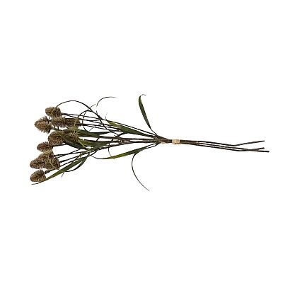 Vitale Devedikeni Dalı 53 cm(AK.LD0059) - Vitale (1)