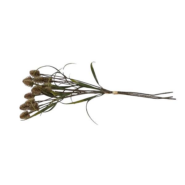 Vitale Devedikeni Dalı 53 cm(AK.LD0059) - 2