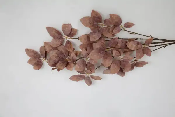 Vitale Kahve Bezelye Dalı 137 cm(AK.LD0010) - 1