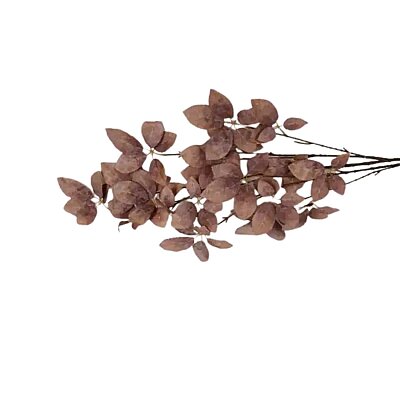 Vitale Kahve Bezelye Dalı 137 cm(AK.LD0010) - Vitale (1)