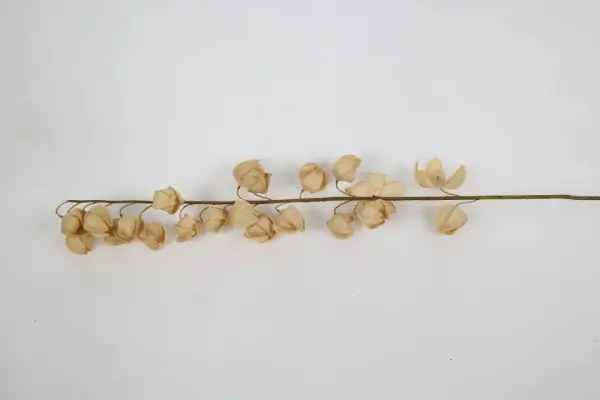 Vitale Krem Alıç Dalı 144 cm(AK.LD0020) - 1