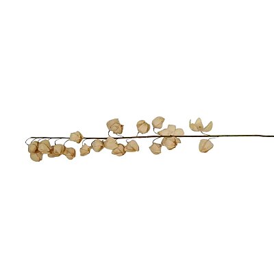 Vitale Krem Alıç Dalı 144 cm(AK.LD0020) - Vitale (1)